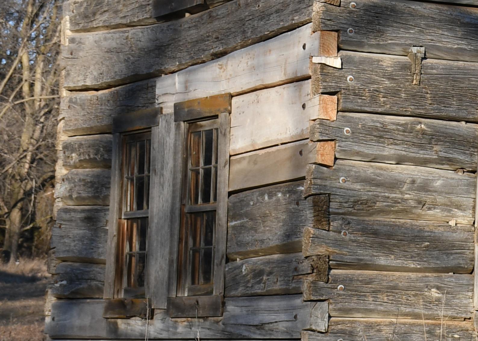 detail of cabin wall