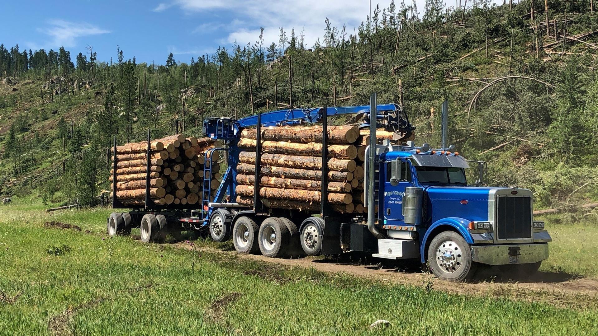 A logging truck in the Black Hills National Forest.