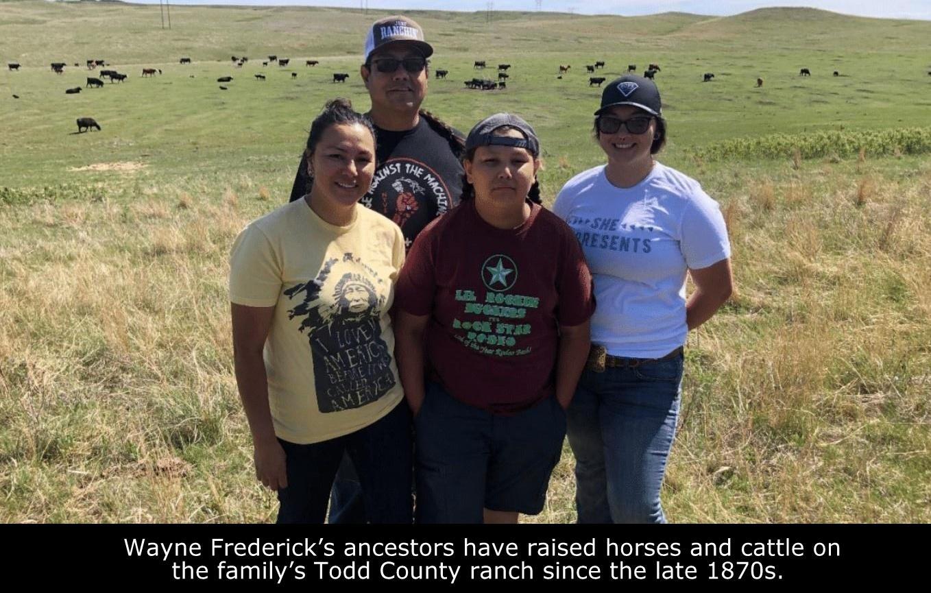 Family of four standing in a cattle field. 