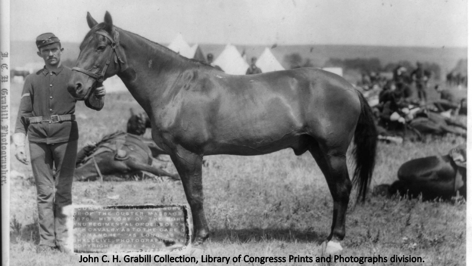 Archival photo of soldier standing next to a horse. 