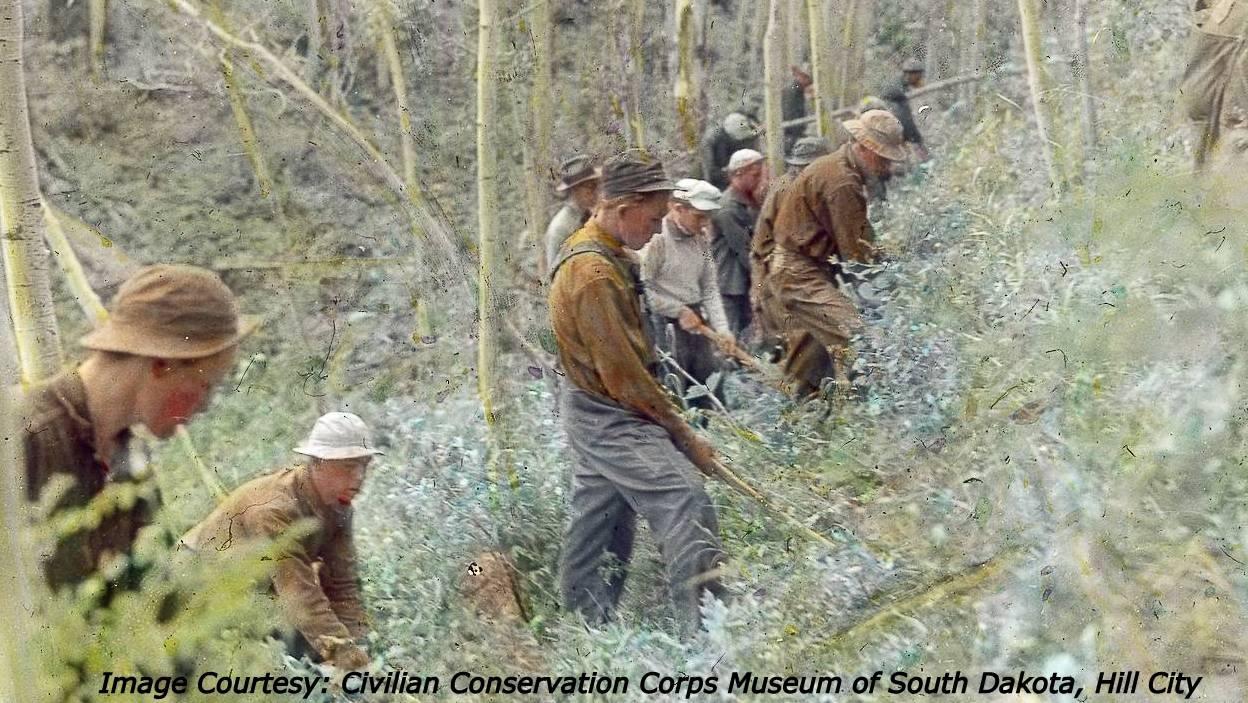 Archival photo of men working in a wooded area. 