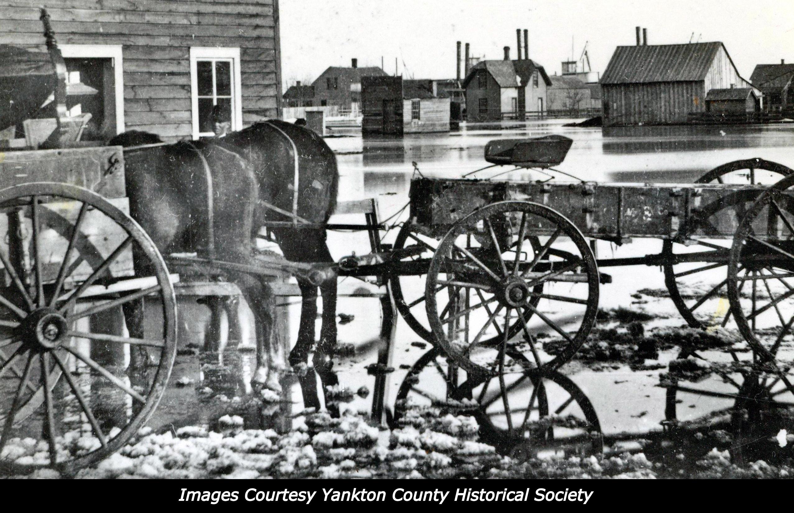 Archival photo of the 1881 flood in Yankton. There is a horse and wagon in the foreground with many buildings in the background. The horse, wagon, and buildings are surrounded by flood water. 