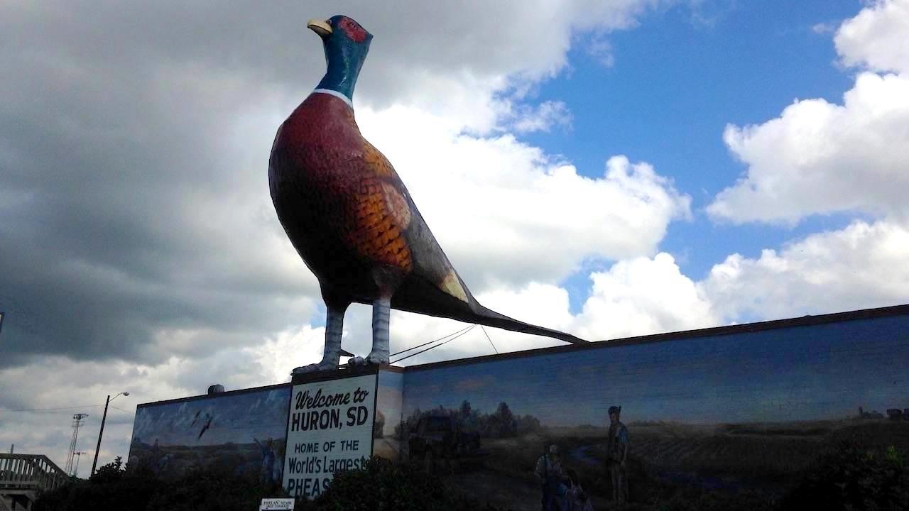 Large metal pheasant in Huron, SD. 