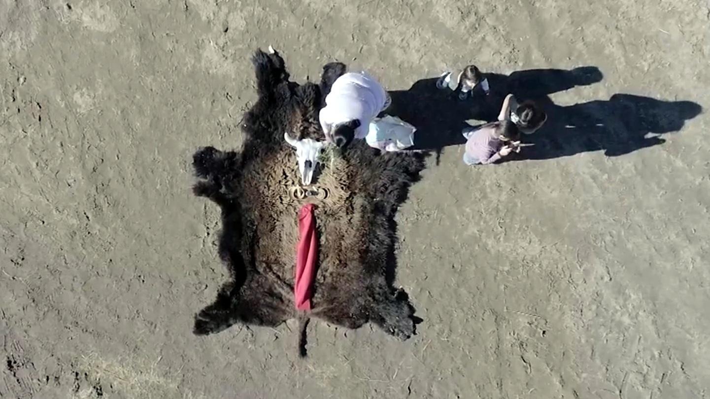  An aerial photo of a buffalo hide on the ground with four people standing near it. There is also a buffalo skull lying on the hide.