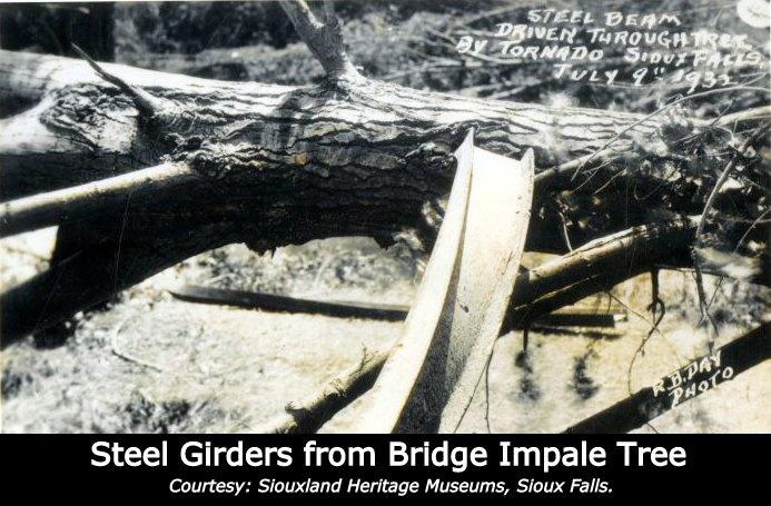 A steel girder from a bridge is impaled into a tree. 