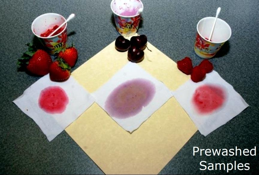The experiment is shown. Three cups with a Q-tip in each are located next to three different types of fruit. There is one with strawberries, cherries, and raspberries. There is also a small piece of cloth next to each with a stain from the fruit. The cloth is prewashed. 