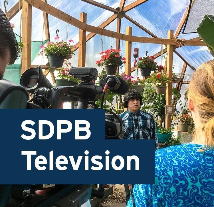 An adolescent male is being interviewed inside of a greenhouse.  