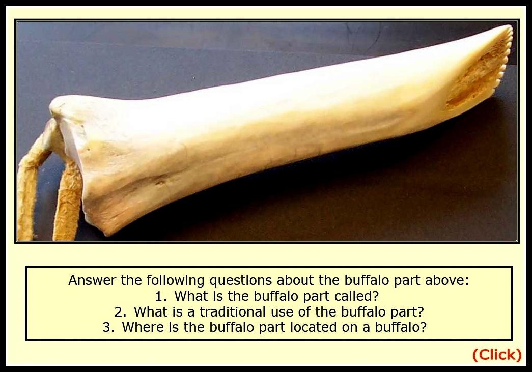 Image of a buffalo flesher made from a long bone. A leather strap is attached to the end. . 