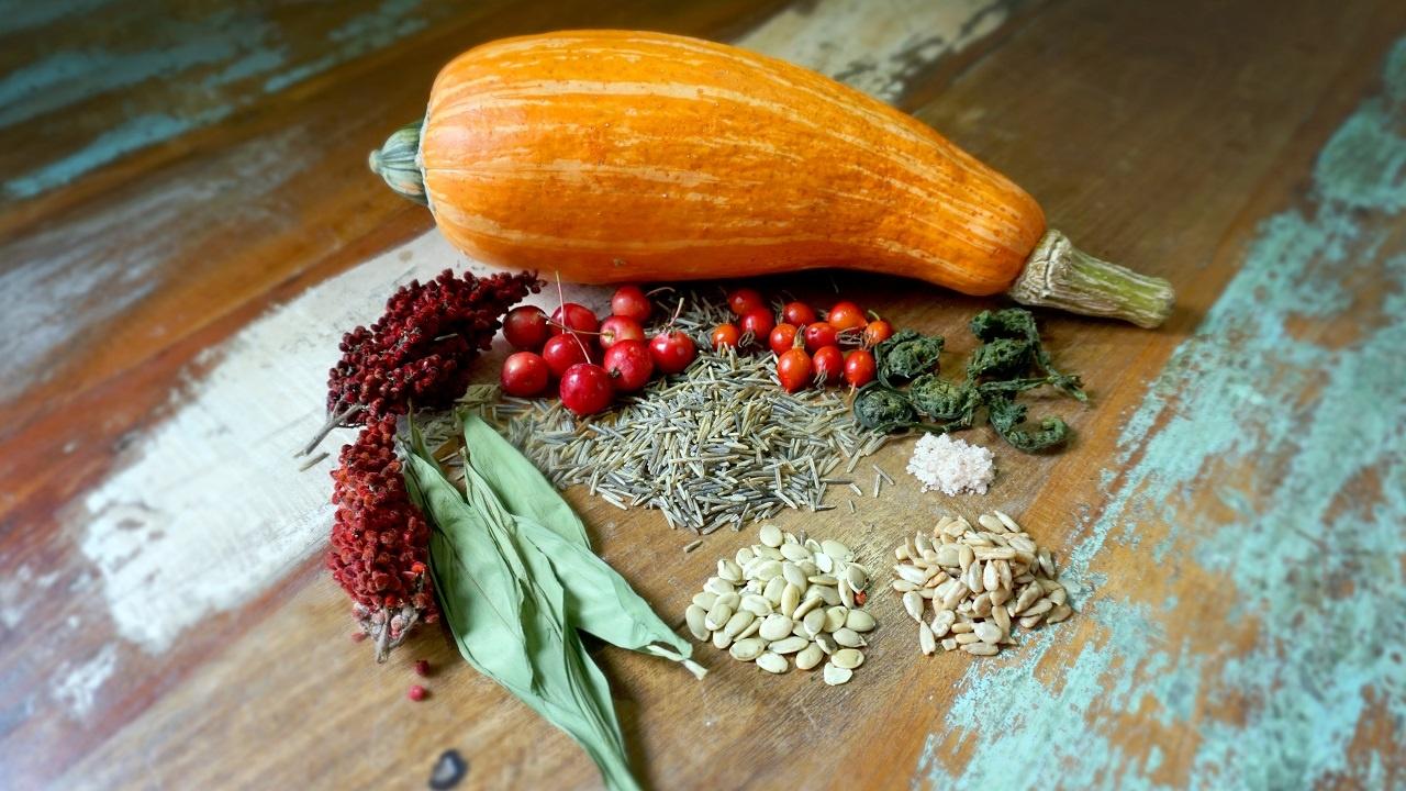 Traditional foods are sitting on an older rustic table, the foods include a squash, berries, seeds, leaves, and sumac.  