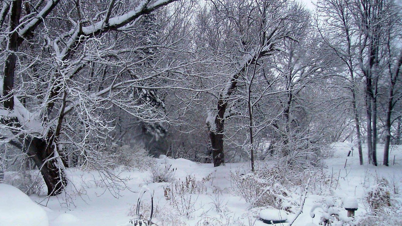 Winter scene, South Dakota 
