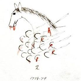 Drawn image - the head of a horse with many small horseshoe shaped images near the neck of the horse. 