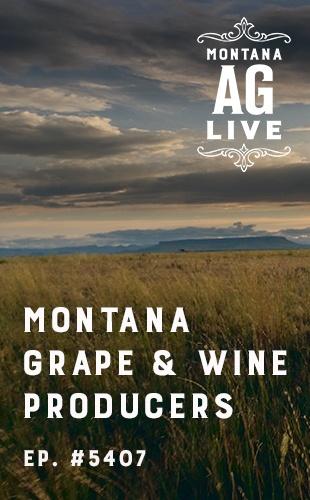 Montana Ag Live
