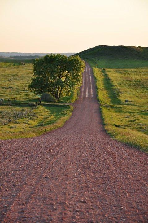 Pine unit road leading to Bob Petermann's ranch Wibaux