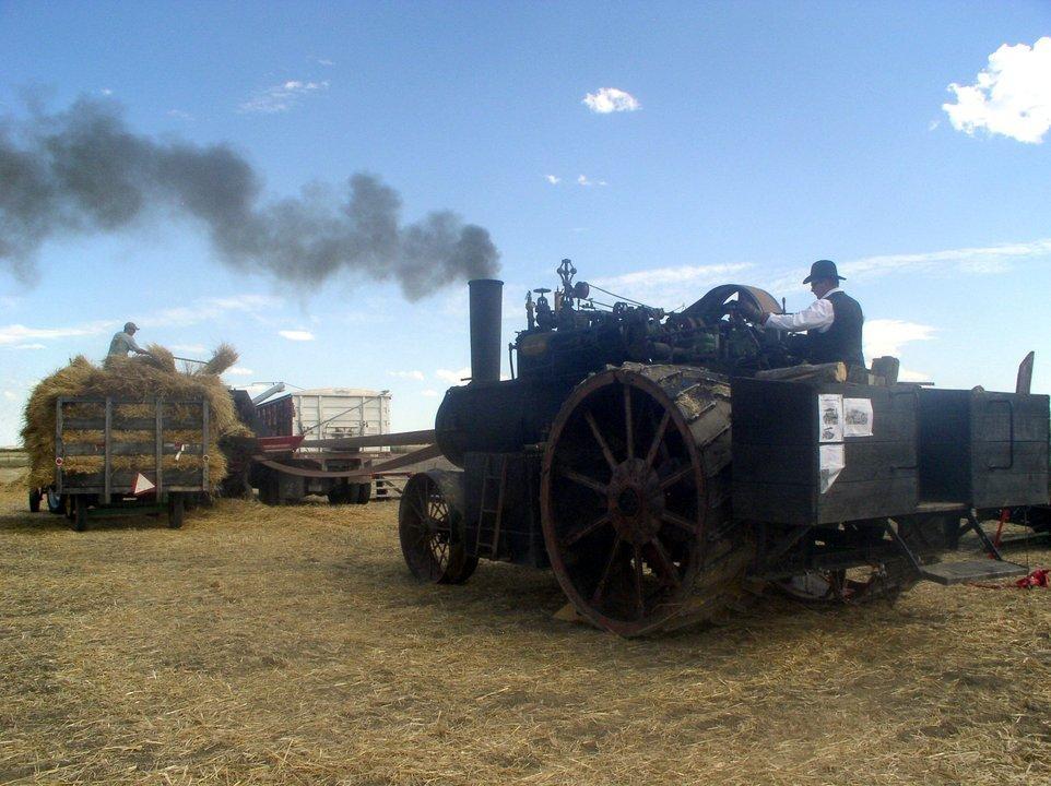 Steam power runs the thresher