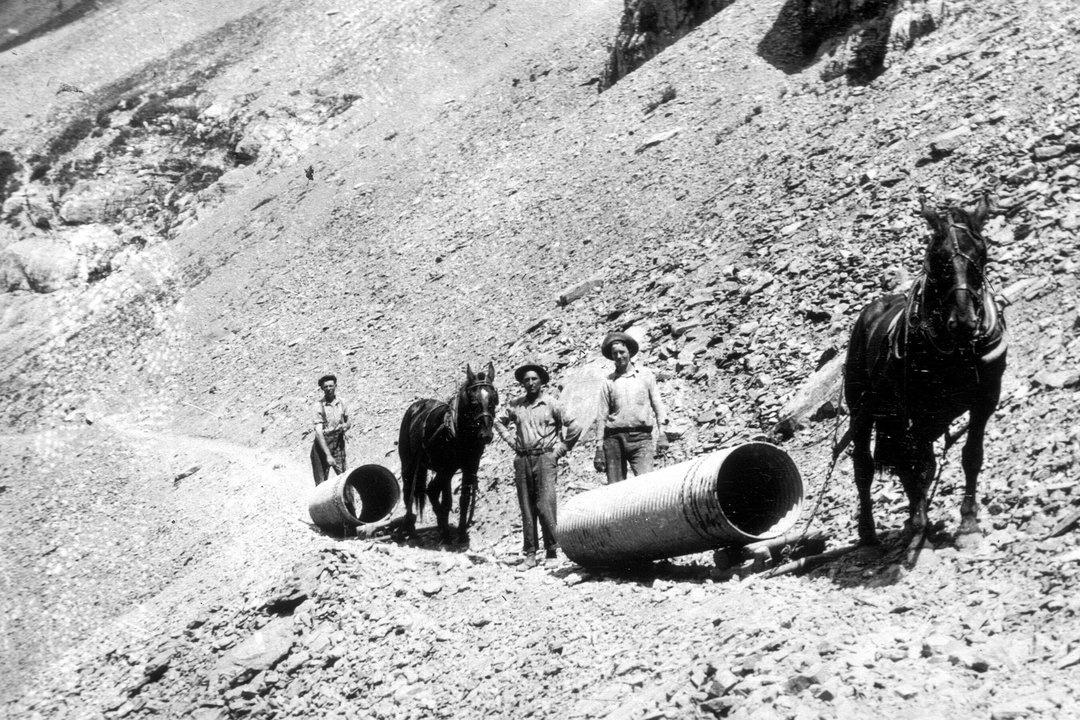 Going-to-the-Sun Road construction horses Glacier Park Archives