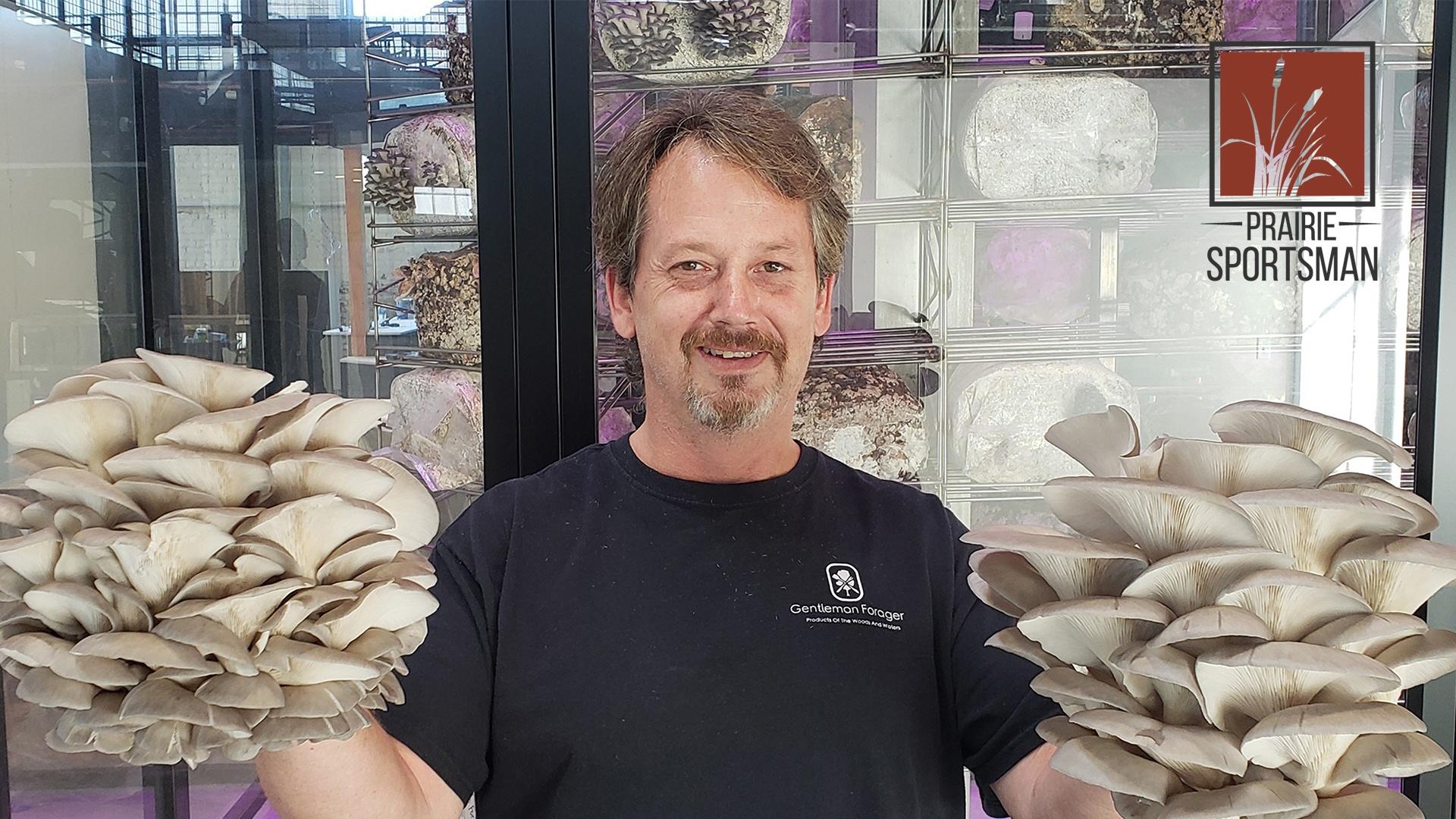 Mike Kempenich grows wild mushrooms in a 14 foot tall glass chamber at Keg and Case Market in St. Paul
