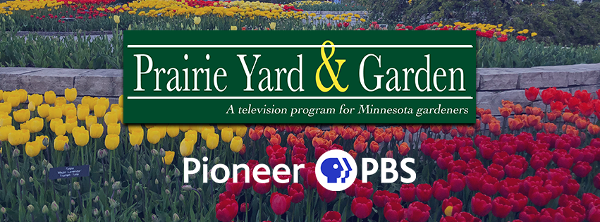 Prairie Yard & Garden