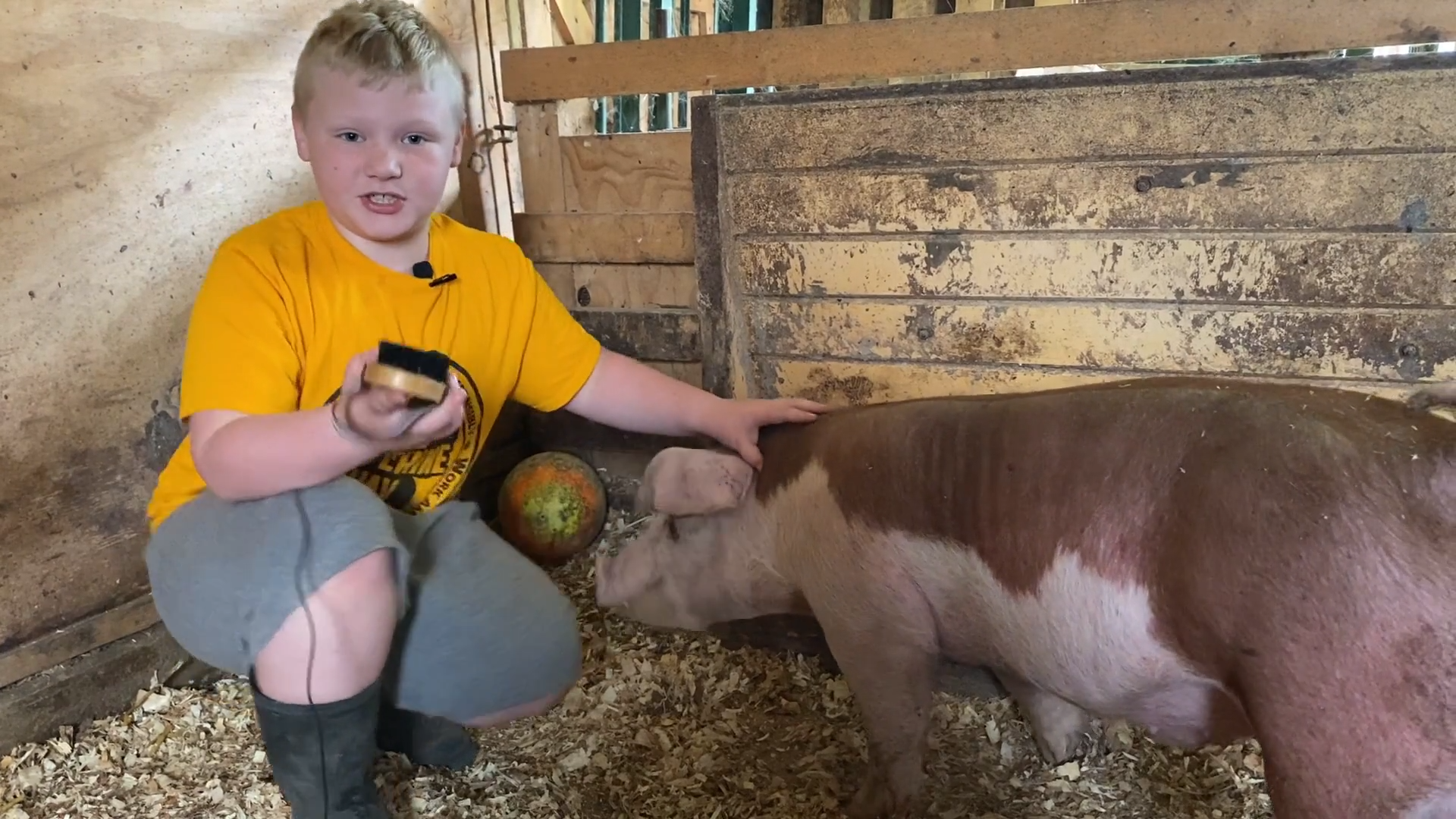 A photo of a young boy named Oliver and his pig Steve.