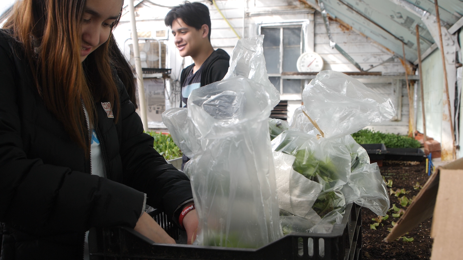 MNYou Youth Garden Group