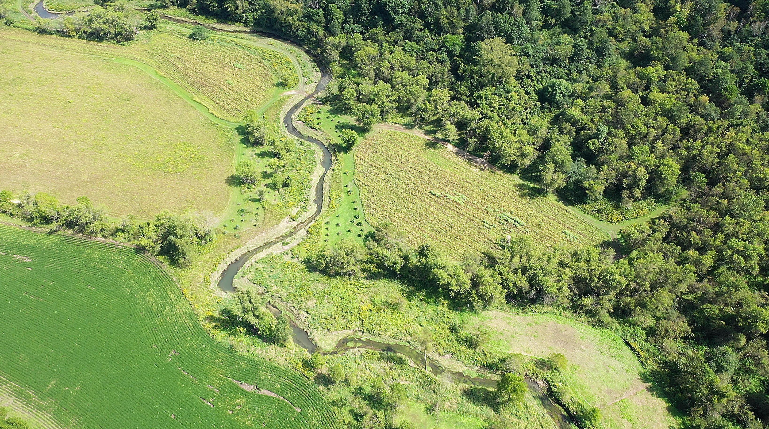 Trout Stream