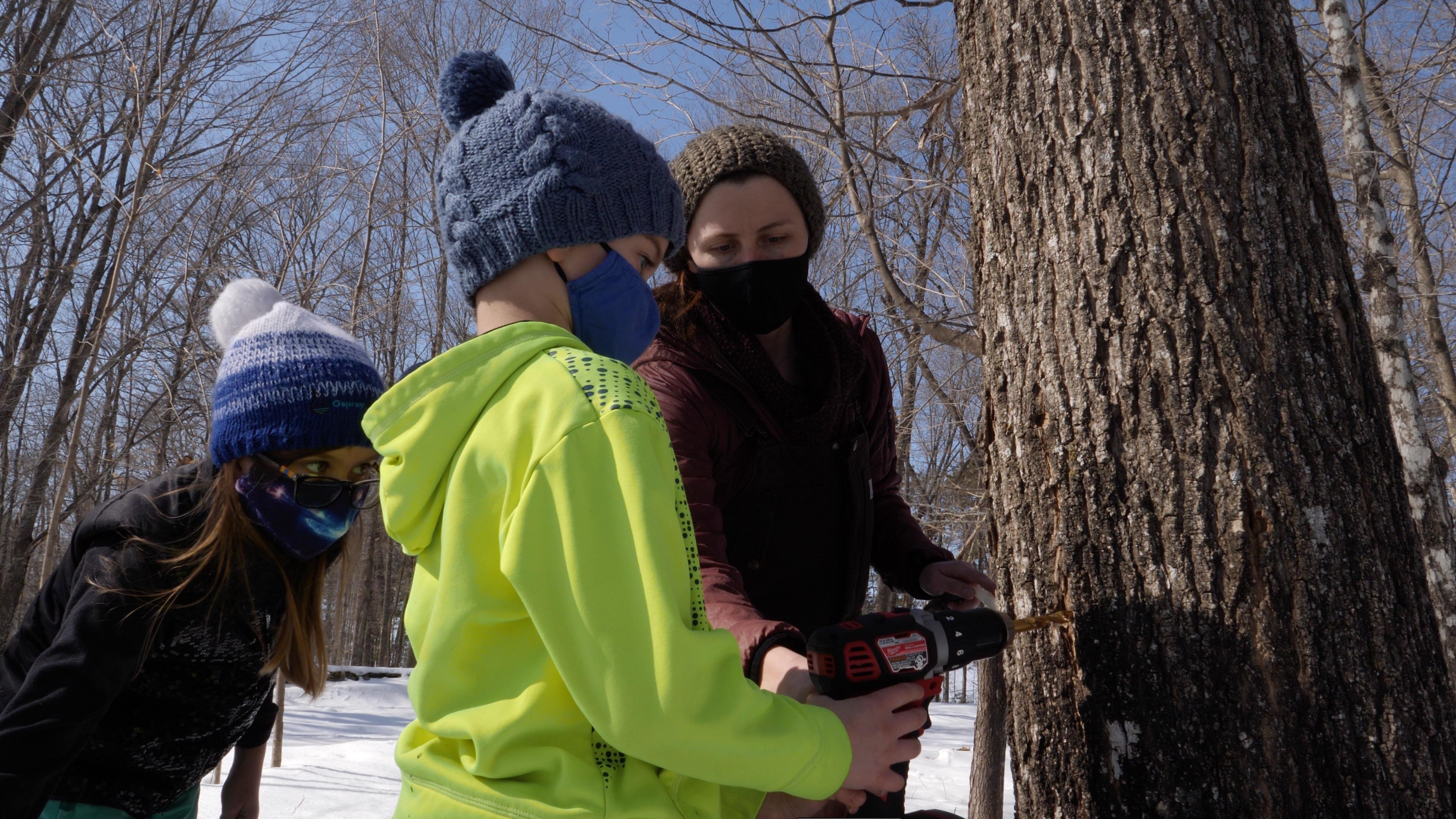 Ashley Bozman helps Henry and Maya Wood drill a hole for a maple syruping tap at Osprey Wilds.