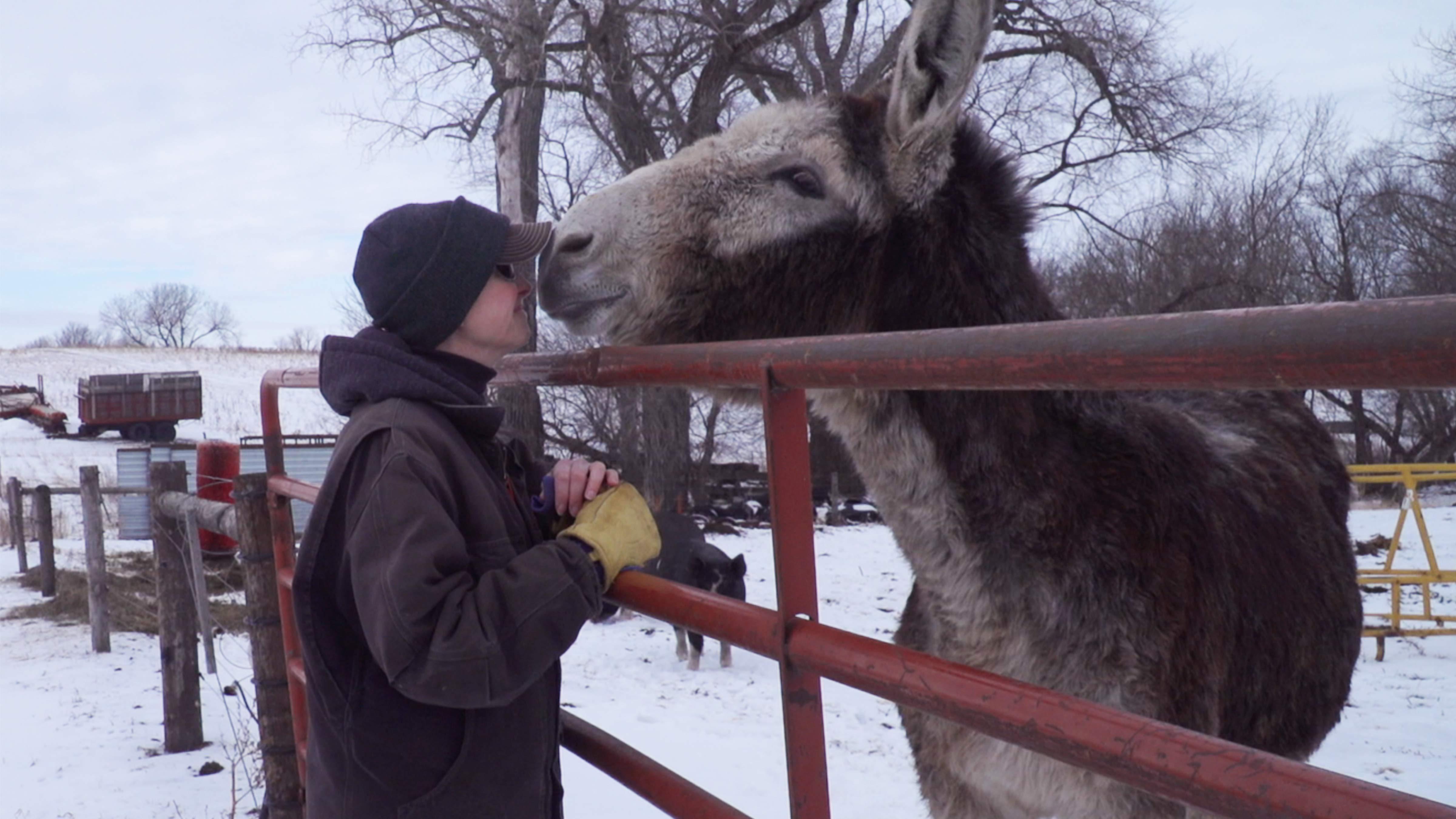 Photo of Dawn Breitkreutz and Jenny donkey.