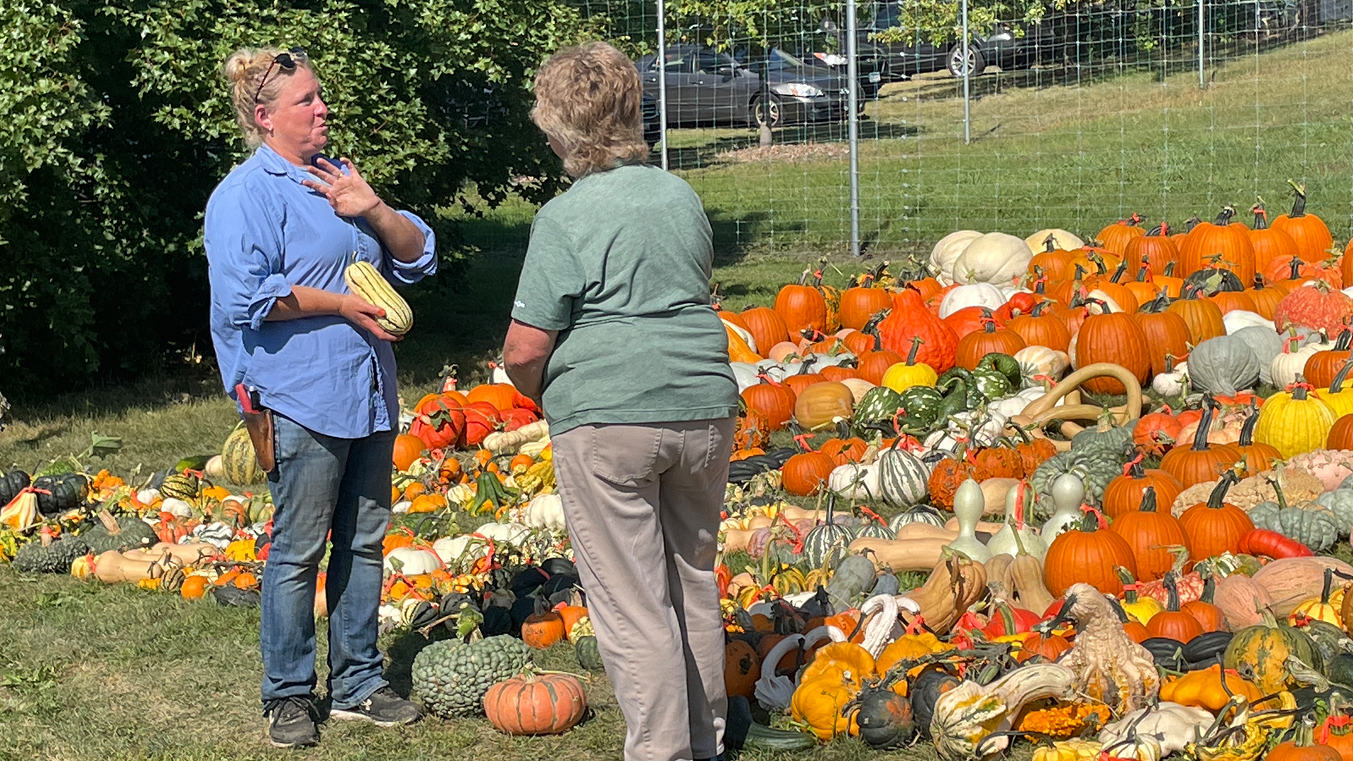Pumpkins, gourds and squash on the next episode of Prairie Yard & Garden