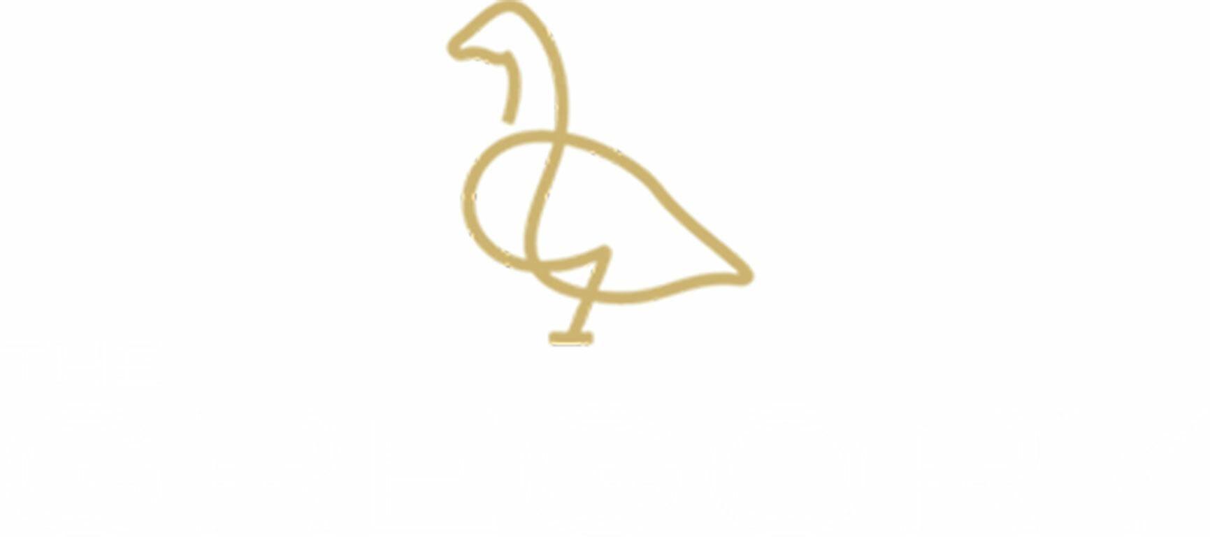 Filer image