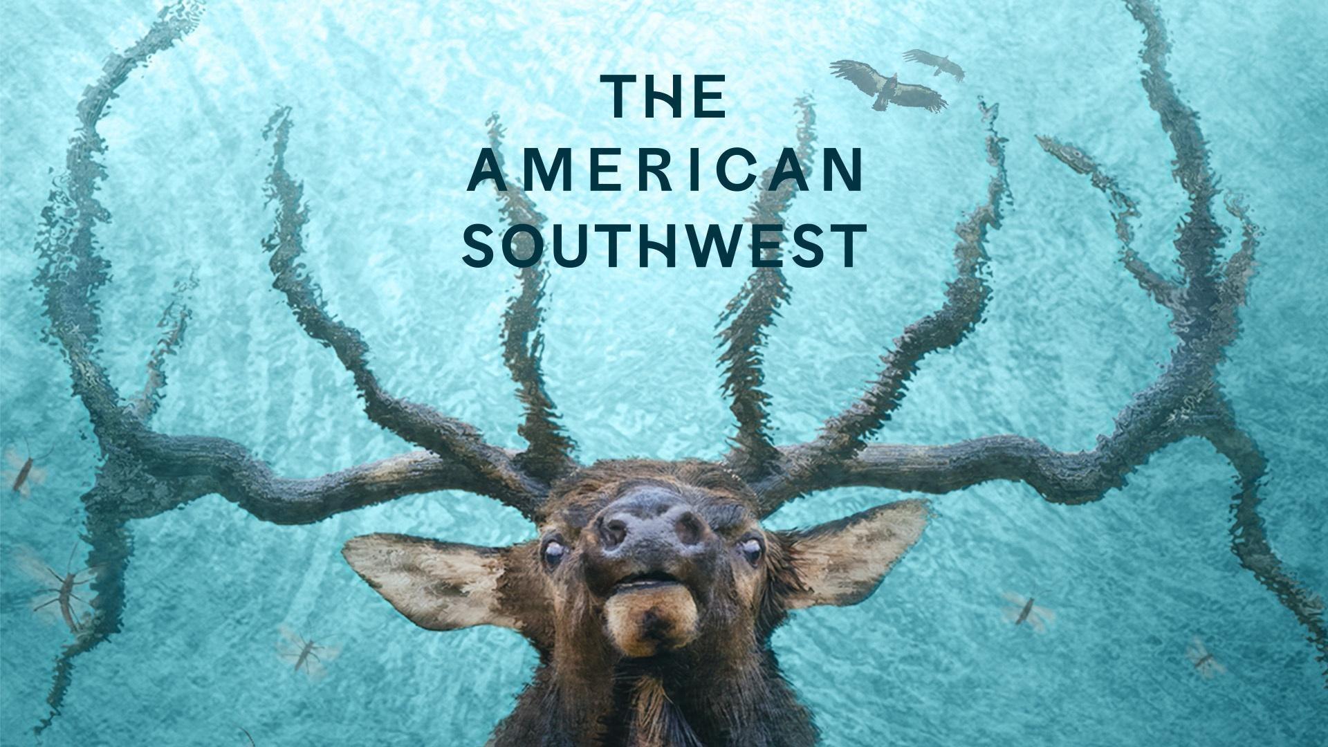 A computer generated image shows a deer and the sky above as seen from beneath the waters of the Colorado River. The title of the program is The American Southwest.