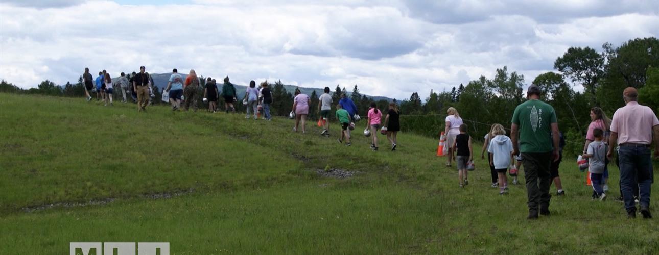 Students walking on a path through a field with woods and mountains in the background