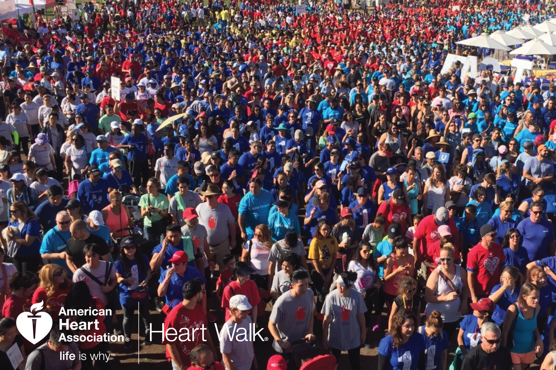 AHA Heart Walk