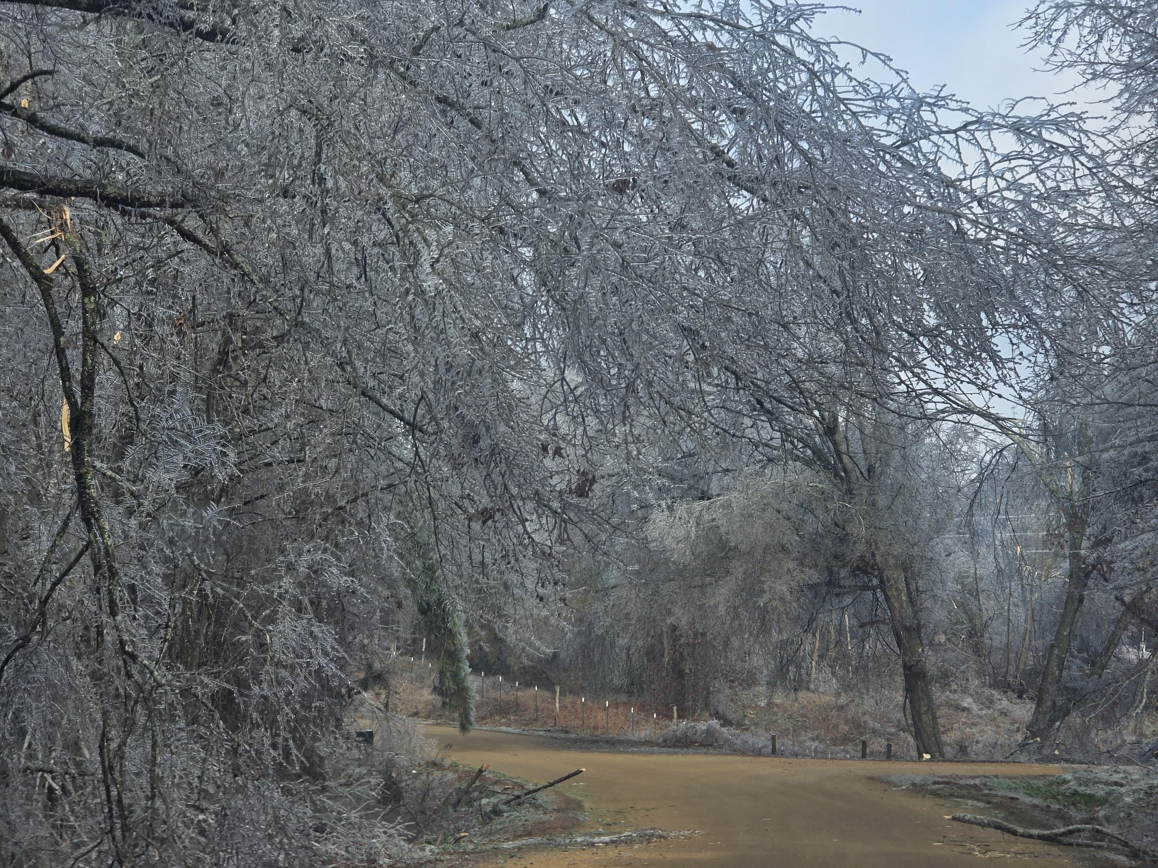 Filer image