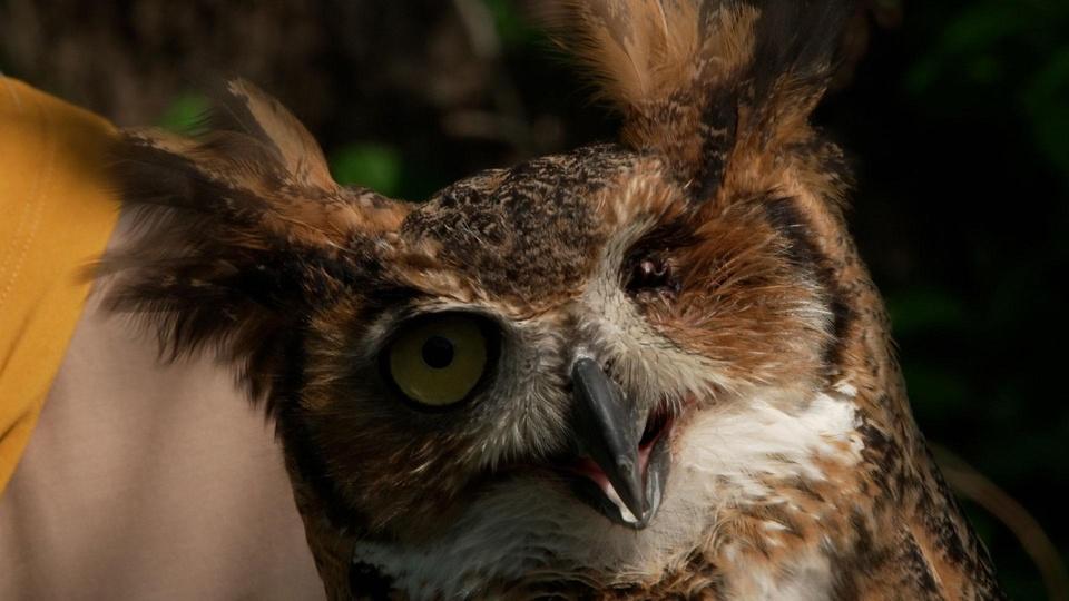 Outdoors Maryland Season 37 premieres November 11 at 7:30pm on MPT