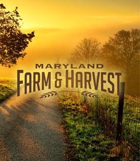 Maryland Farm & Harvest