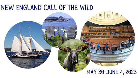 New England Call of the Wild Tour, May 30-June 4, 2023