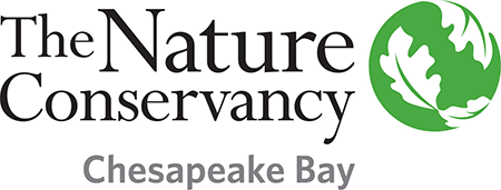 Lifeblood Sponsor - The Nature Conservancy Chesapeake Bay