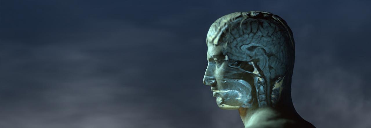Mysteries of Mental Illness Signature image - A sculpted head showing the brain.