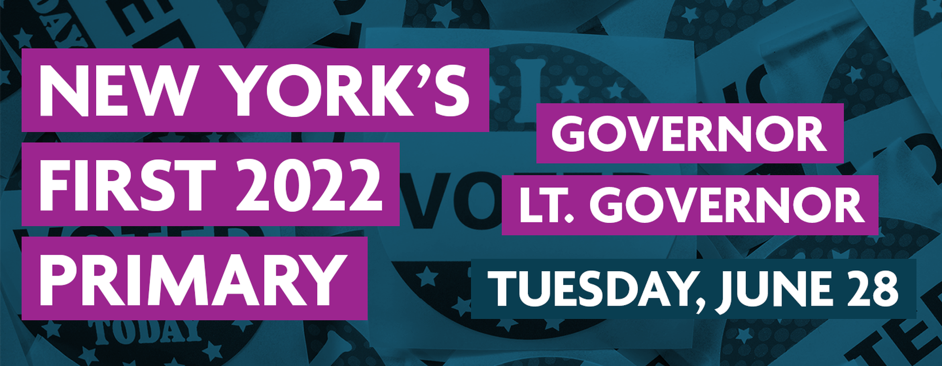 Voter Guide New York