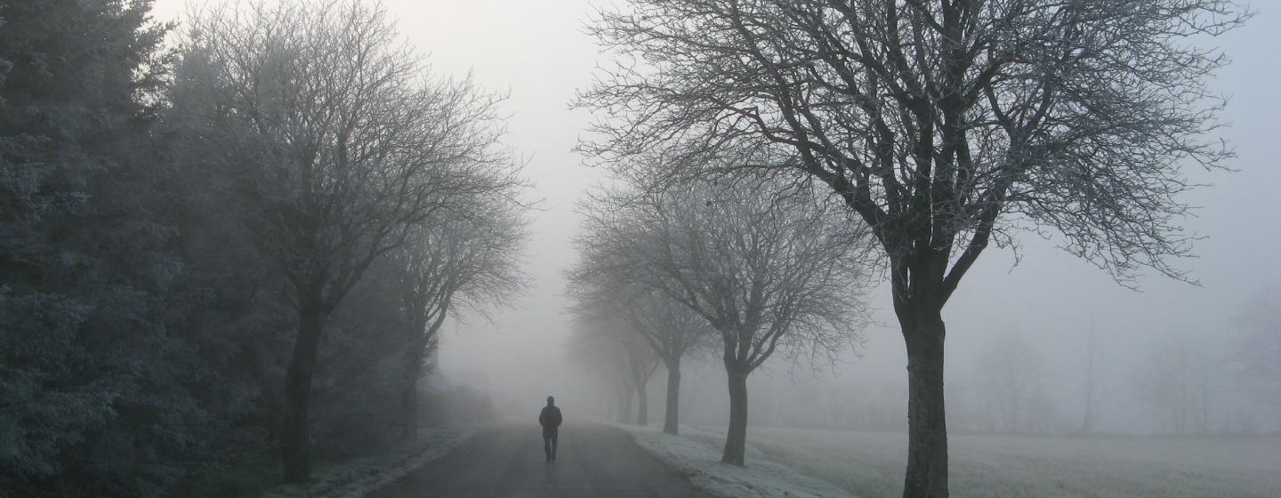 Person walking along on a road in the morning with bare trees and fog