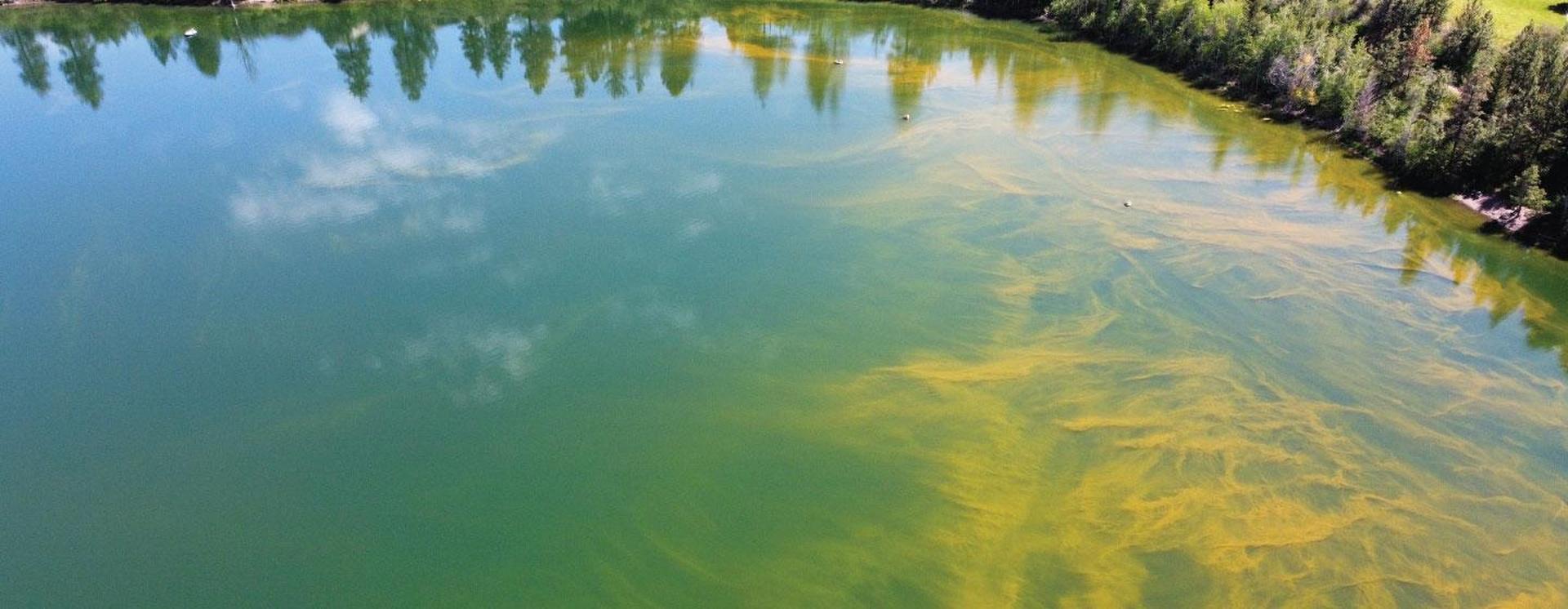 Harmful Algal Blooms Reported in the Adirondacks; Season Lasts Until