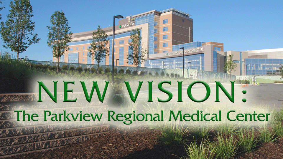 New Vision