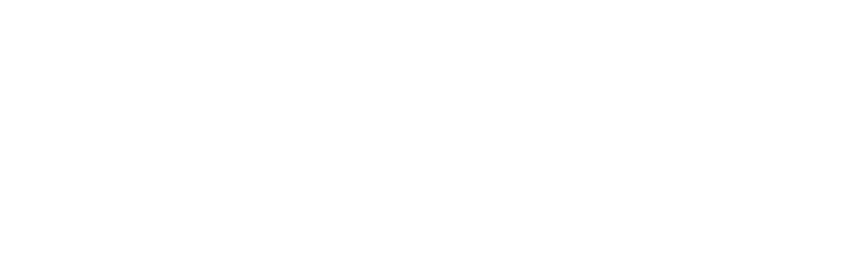 PBS-America@250