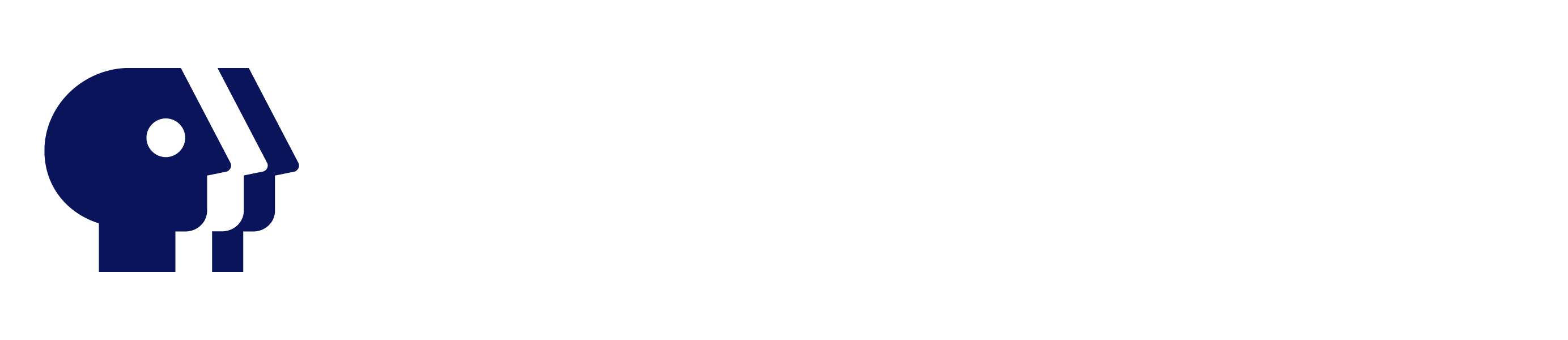 PBS News