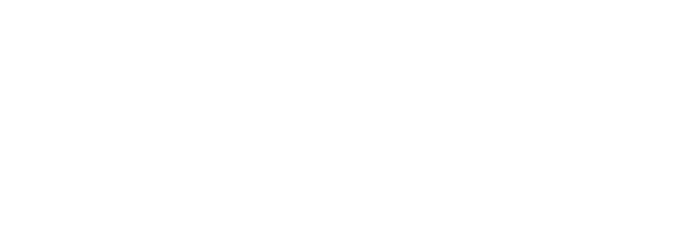 THE AMERICAN REVOLUTION