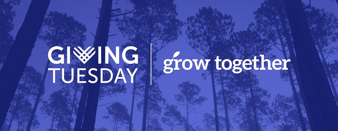 Giving Tuesday Grow Together Blog