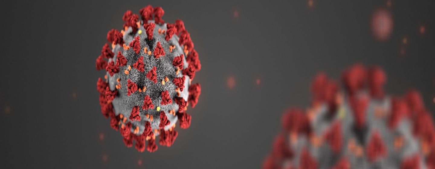 graphic rendering model of covid 19 virus, coronavirus