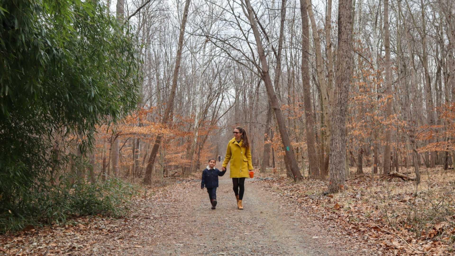 Adult and child walking through an autumn forest path