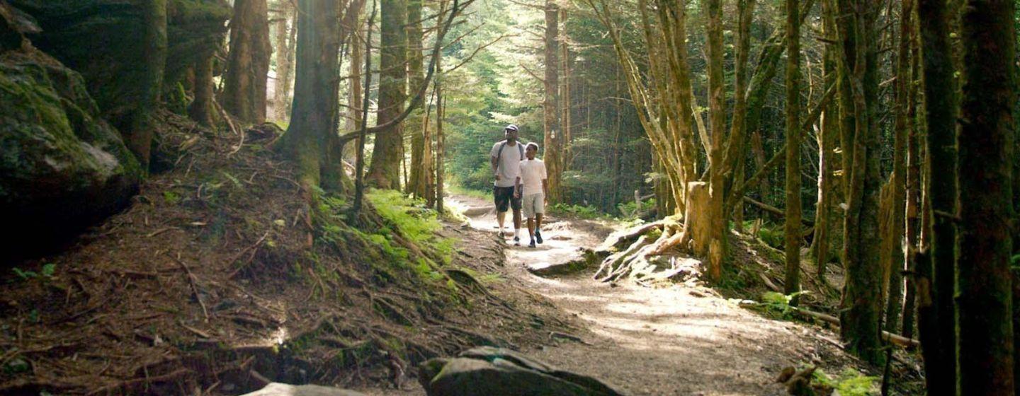 Father and son hike through the woods of an NC state park