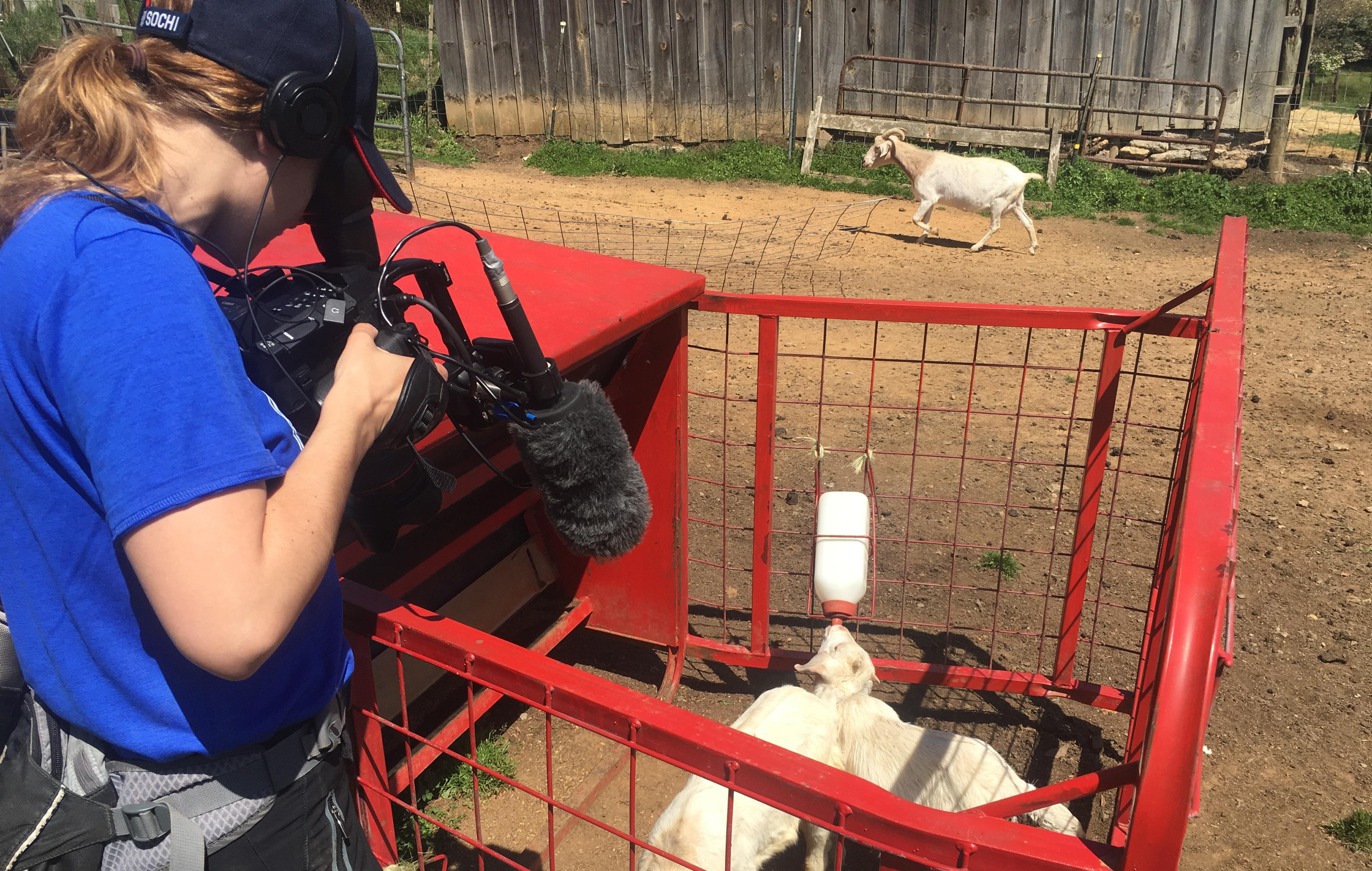 blonde crew member points camera down into red crate as baby goats drink out of a bottle