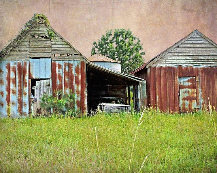 A rusted car sits between two rusted barns surrounded by tall grass